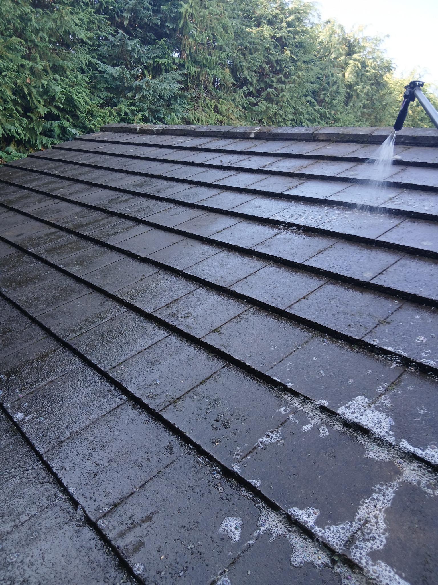 roof cleaning