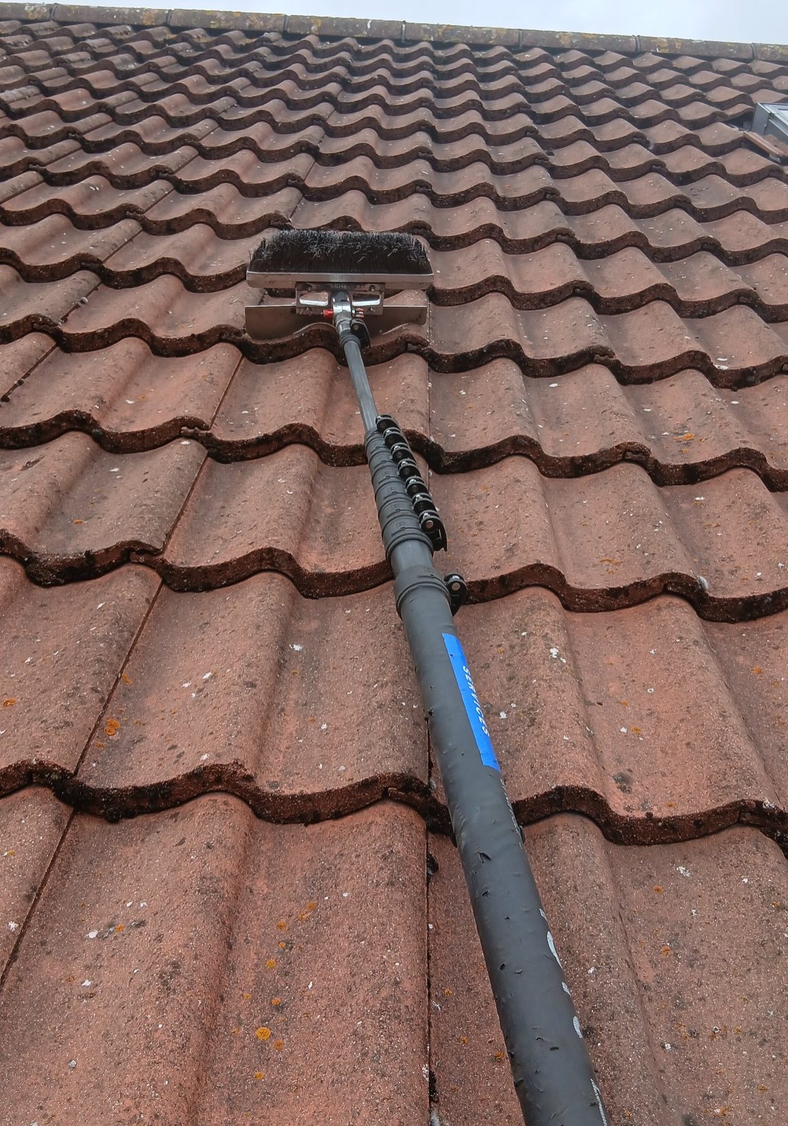 moss removal from roof in Magherafelt