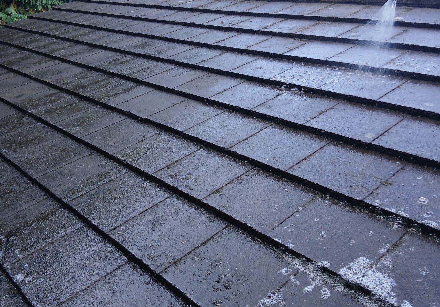 roof cleaning