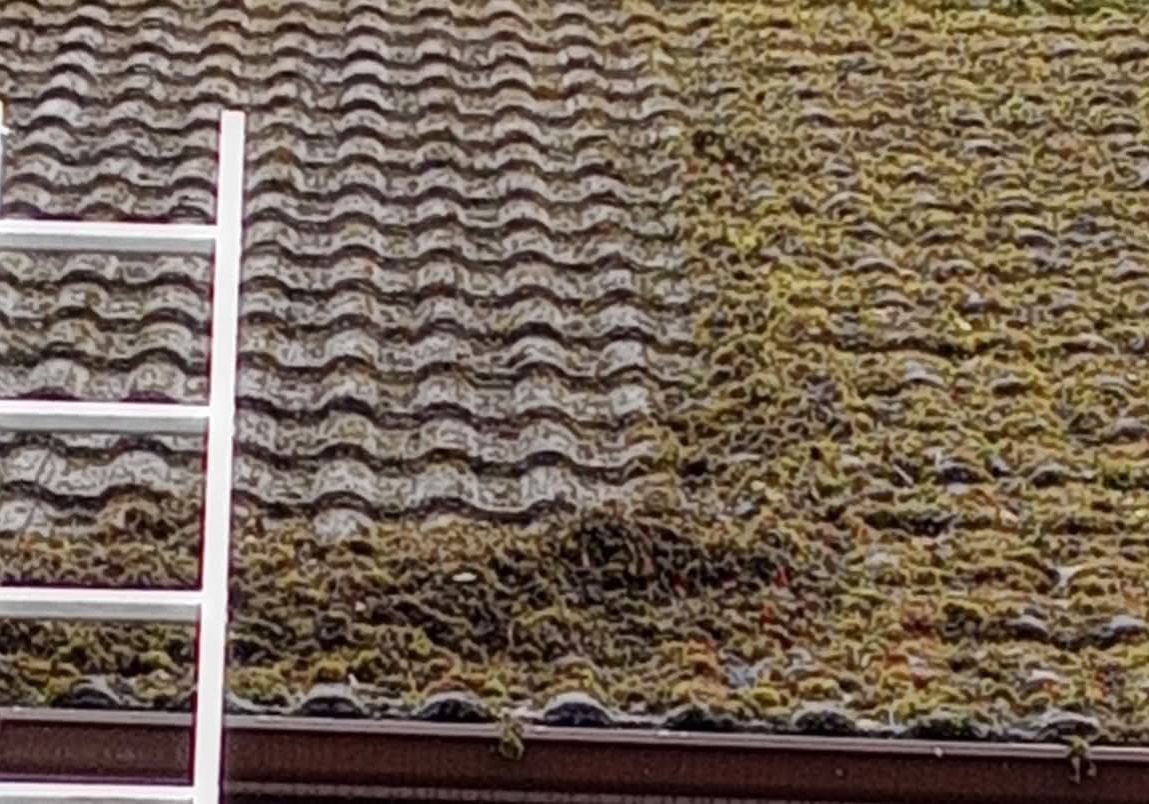 biocide treatment on roof